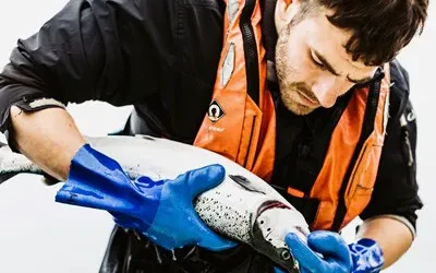 Scottish Sea Farms Power BI dashboard and operational data analytics case study by Flyte